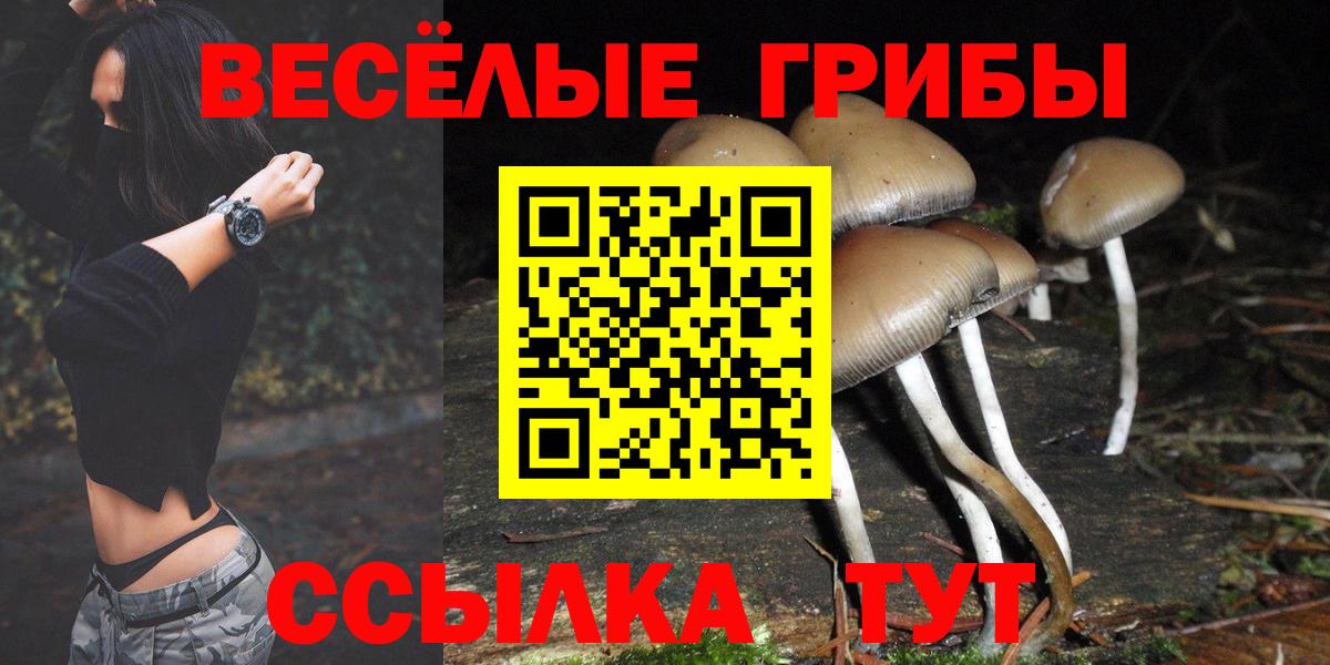 Псилоцибиновые грибы прущие грибы Реж