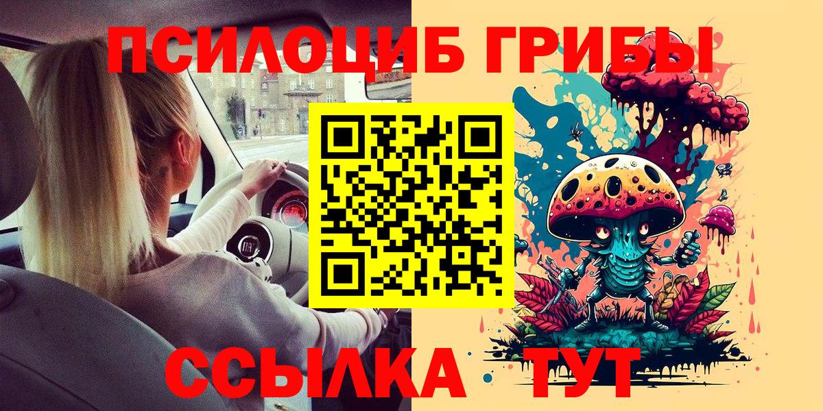 Галлюциногенные грибы Psilocybe  цена   Реж  Вход с VPN 